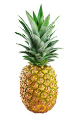 Fototapeta premium Pineapple