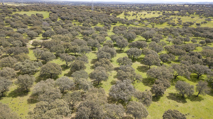 Agricultural and livestock lands in Spain