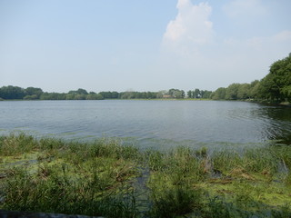 La cité des oiseaux, Les Landes Génussons, Vendée