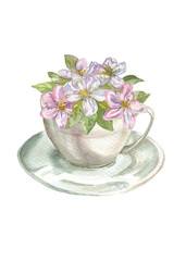 Apple flowers in white watercolor cup