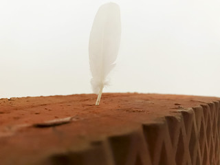 White feather in a red brick on a white background
