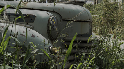 Sleeping Beauty - Abandoned old car