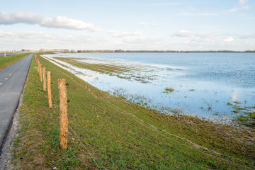 Fototapeta premium Narrow asphalt road along a flooded polder