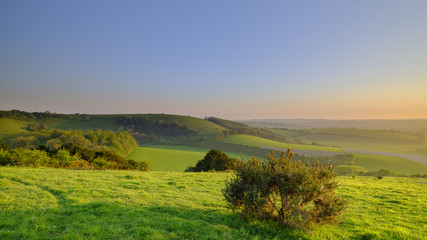 Dead tree silhouetted against sunset on Old Winchester Hill, South Downs, Hampshire, UK