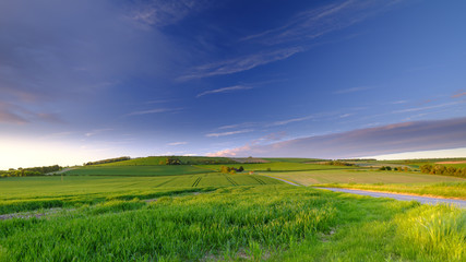 Spring sunset and evening light on the Meon Hut shepherds hut under Old Winchester Hill, South...