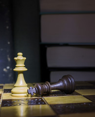 Scacchi fotografati su una scacchiera