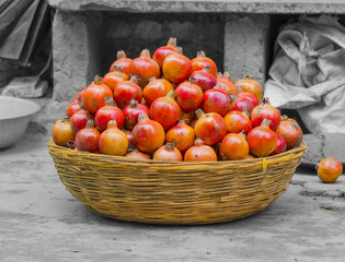 Group of Pomegranate