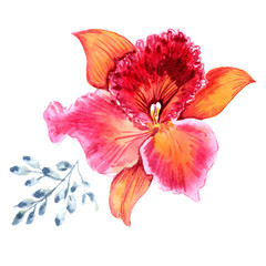 Tropical watercolor orchids. You can use it to congratulate you on your wedding day, happy birthday.