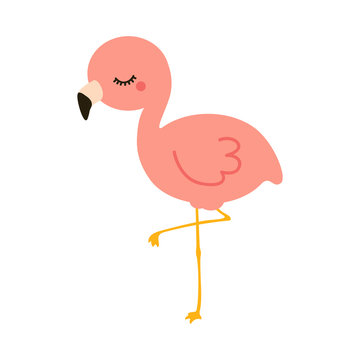 flamingo child
