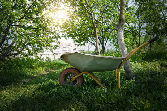 cart in the garden under sunlight
