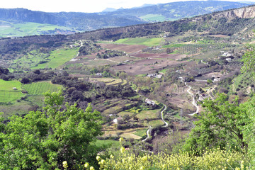 Fototapeta na wymiar Beautiful rural landscape from Ronda old town, Andalusia, Spain 