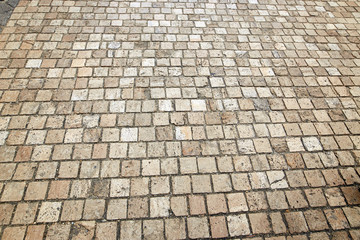 tile paving. sidewalk pedestrian zone. a rock.