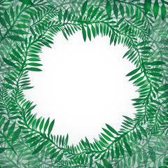 Fototapeta na wymiar Postcard from green branches. Frame of fern for invitations, greeting cards, banners and your design