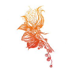 Cotton twigs. Monochrome stylized set of white cotton flowers. illustration. Cotton floral pattern, organic ball furry ball