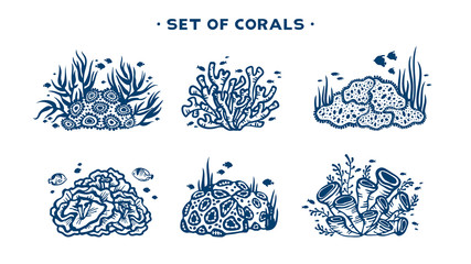 Set of vector coral reef.