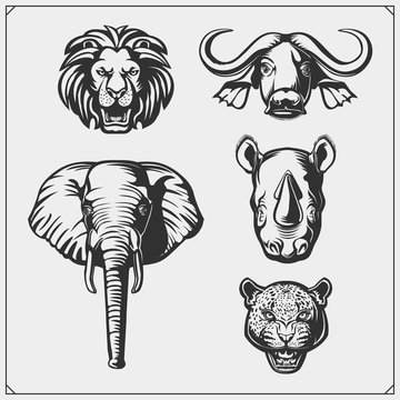 Set of Big Five animals. Lion, elephant, rhino, leopard and buffalo. Stock  Vector | Adobe Stock