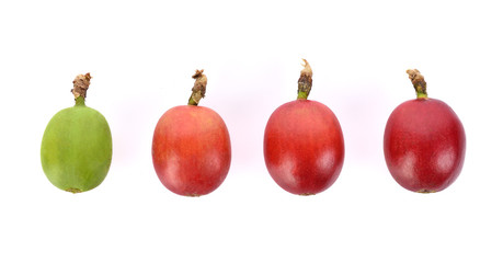 Coffee beans on white background