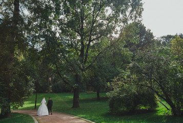 Beautiful bride in puffy dress and tulle veil is holding her grooms hand outside in the summer park. Wedding couple is walking on summer day on the path.