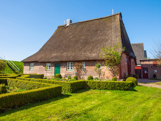 Fototapeta na wymiar croft with thatch roof in Haseldorf, Niederlbe, Schleswig Holstein, Germany, Europe