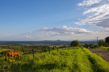 Scenic Rim in Queensland, Australia with horse