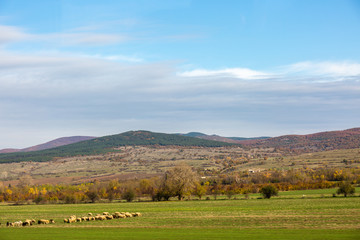 Landscape with clouds