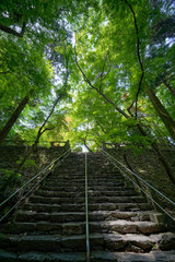 四国第八十二番札所根香寺の新緑 2018年5月撮影