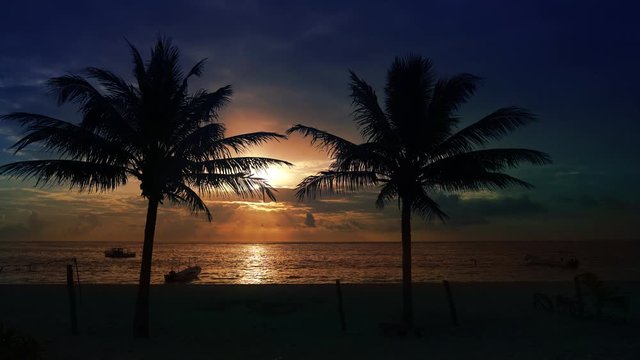 Mayan Riviera palm trees beach sunrise Caribbean