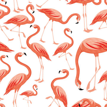 Seamless pattern with pink flamingos on white background.