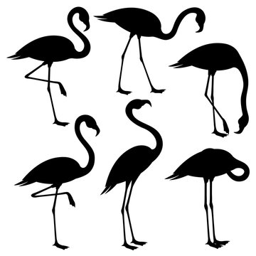 Set of black flamingos on white background.