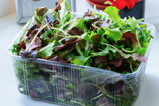 Macro closeup of mixed green salad in box