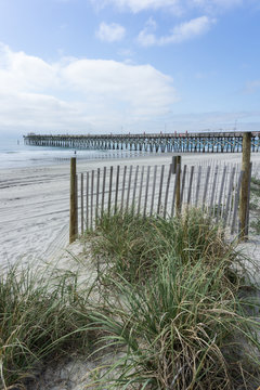 Coastal Landscape on the Atlantic Ocean