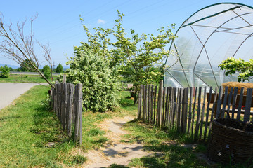 Zugang zu einem Gew&auml;chshaus