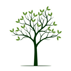 Green Spring Tree. Vector Illustration.