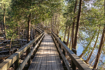 Fototapeta premium Crawford Lake Boardwalk
