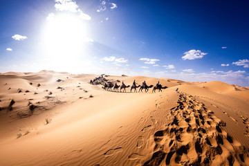 Sunset over the sand dunes and people riding a camel in the Sahara desert, Morocco, Africa.