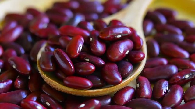red bean seeds ,rotation