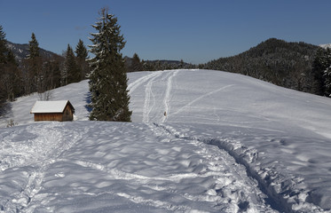 Fototapeta premium WInter landscape