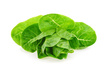 Fresh lettuce or baby cos isolated on white background