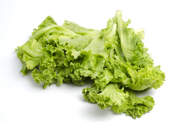 Fresh Lactuca sativa on white background