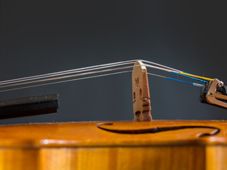 Violin on a dark background