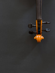 Violin on a dark background
