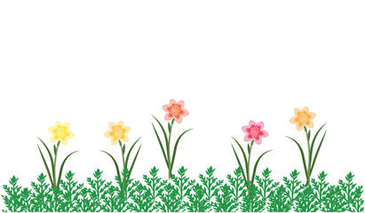 Obraz na płótnie Canvas Frame border - yellow daffodils and green grass - isolated on white background - art vector.