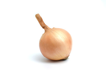 Fresh onion bulbs isolated