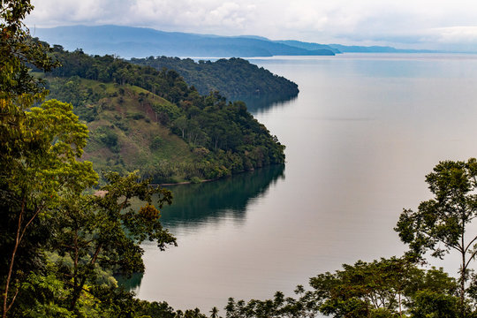 Ducle Images – Browse 4 Stock Photos, Vectors, and Video | Adobe Stock