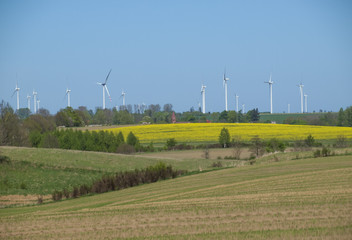 windmill