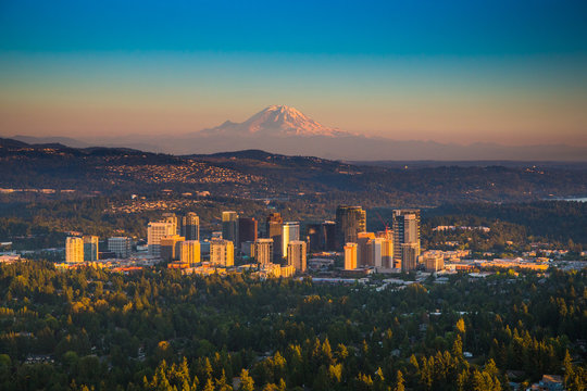 Bellevue Images – Browse 10,065 Stock Photos, Vectors, and