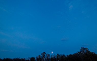 Twilight. Blue sky over the forest after sunset. The rising moon in the sky.