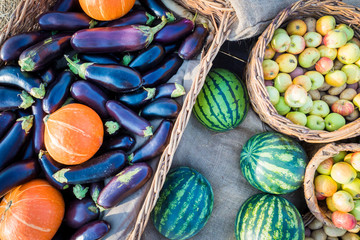 Top view of vegetables watermelons, apples, eggplants