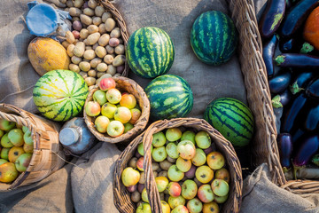 Top view of vegetables watermelons, apples, eggplants