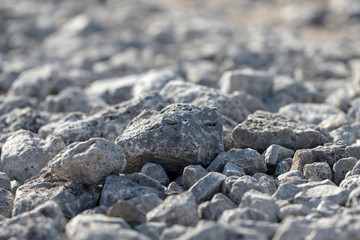 Stone crushed stone on the construction site as an abstract background